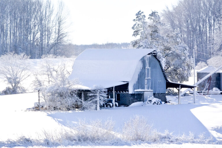 Poplar Grove Farm